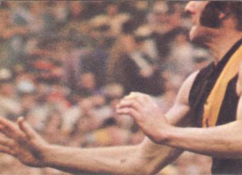 1973 Scanlens VFL #39 Harvey Merrigan Back